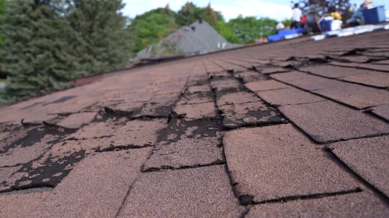 Best Metal Roofing Installation  in Walnut Grove, CA